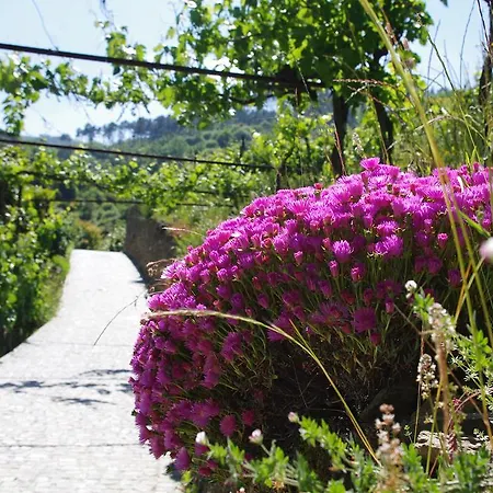 Villa Casa Da Quinta Do Porto Lamego Exterior foto