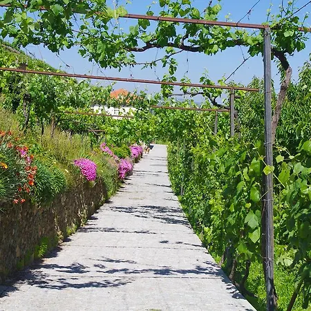 Villa Casa Da Quinta Do Porto Lamego Exterior foto