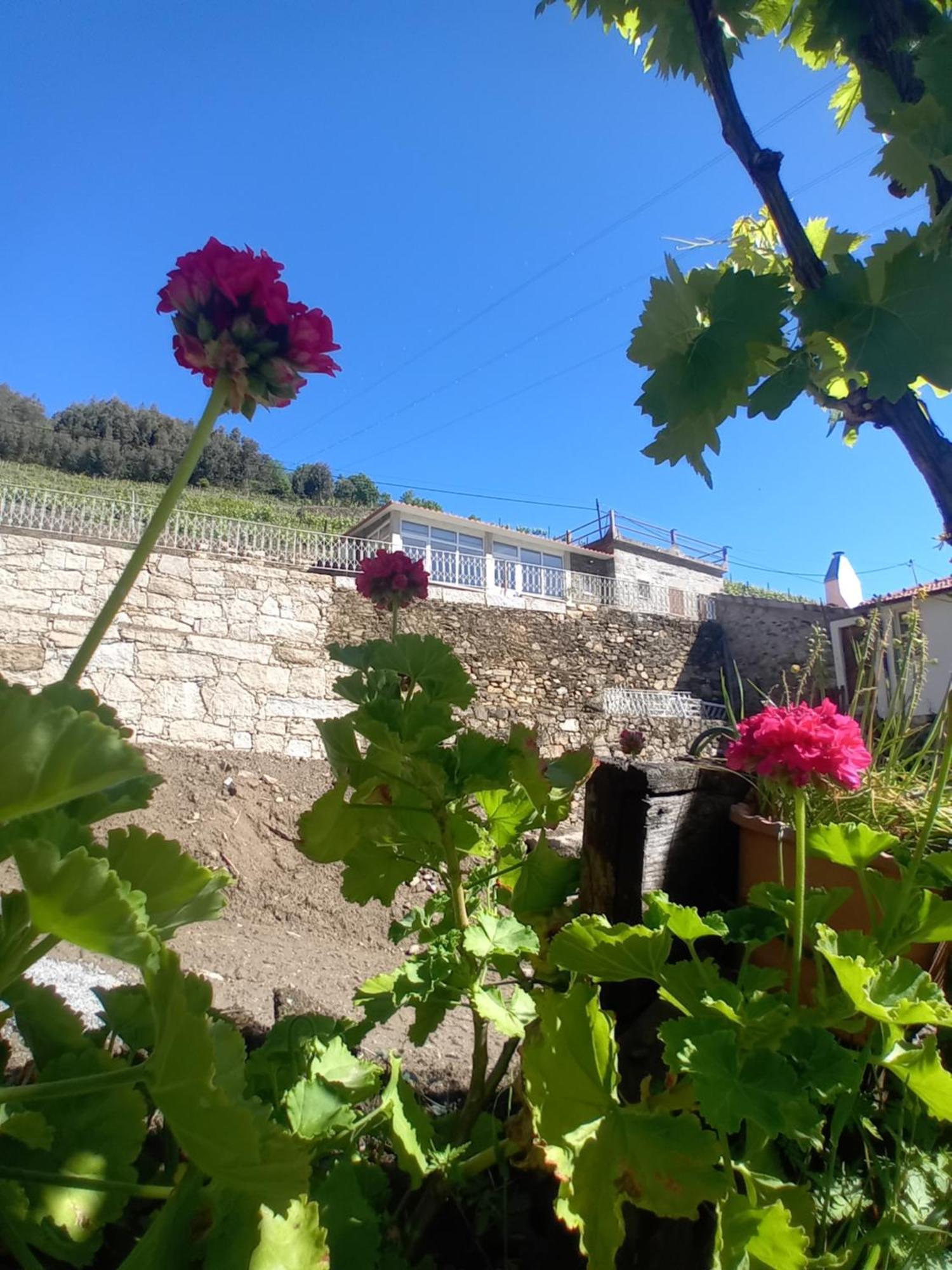 Casa Da Quinta Do Porto Holiday home *