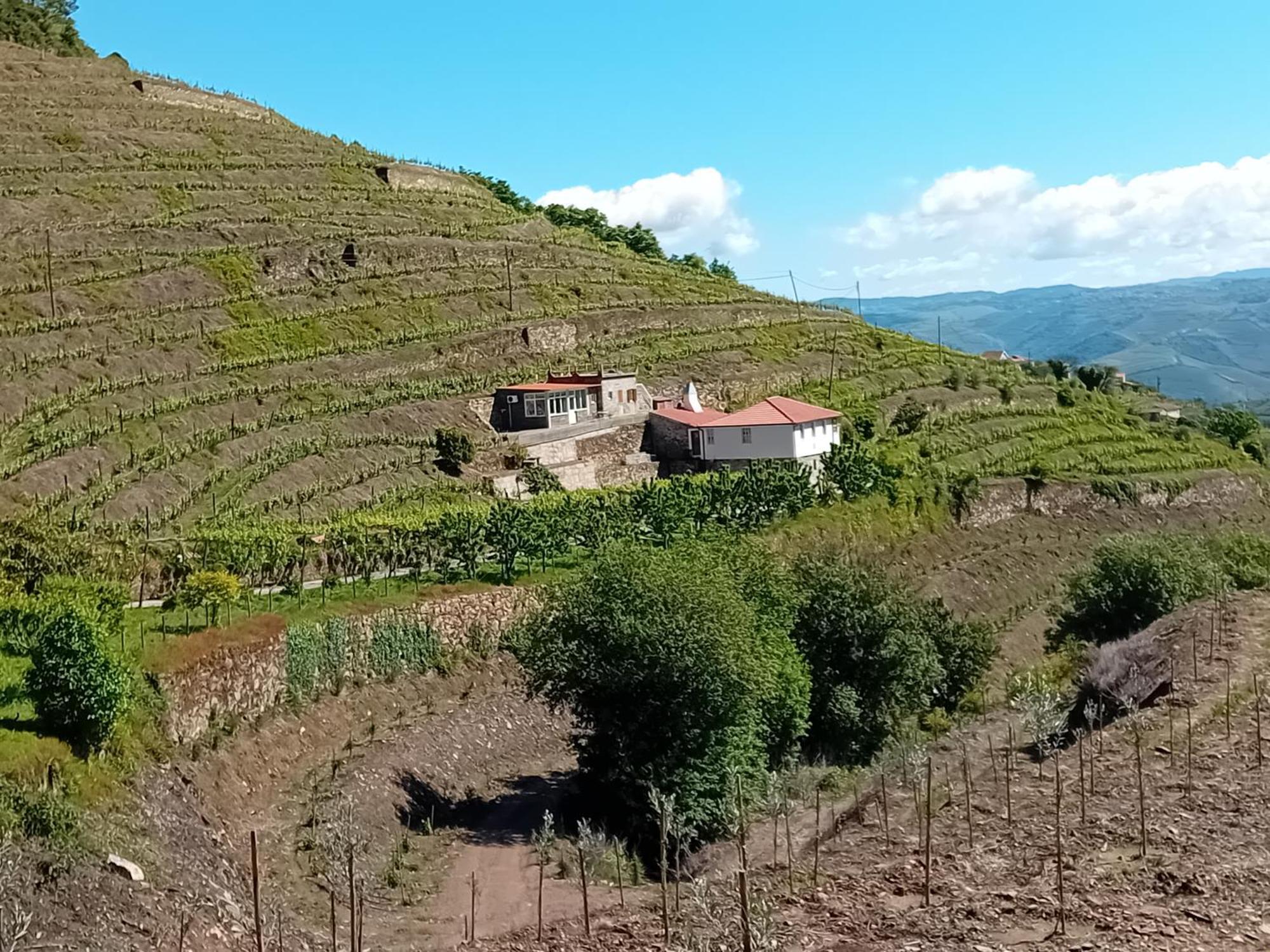 Holiday home Casa Da Quinta Do Porto *