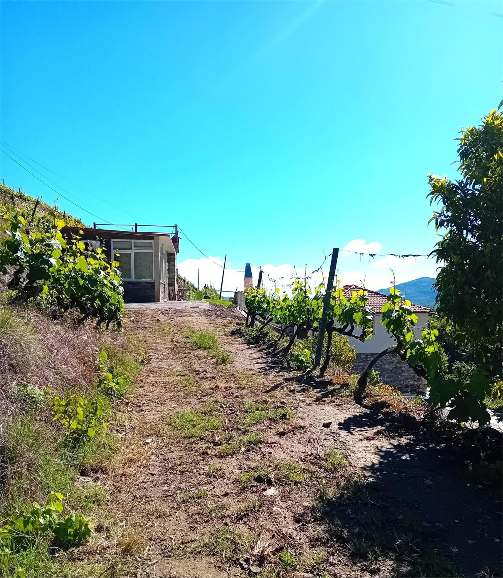Holiday home Casa Da Quinta Do Porto