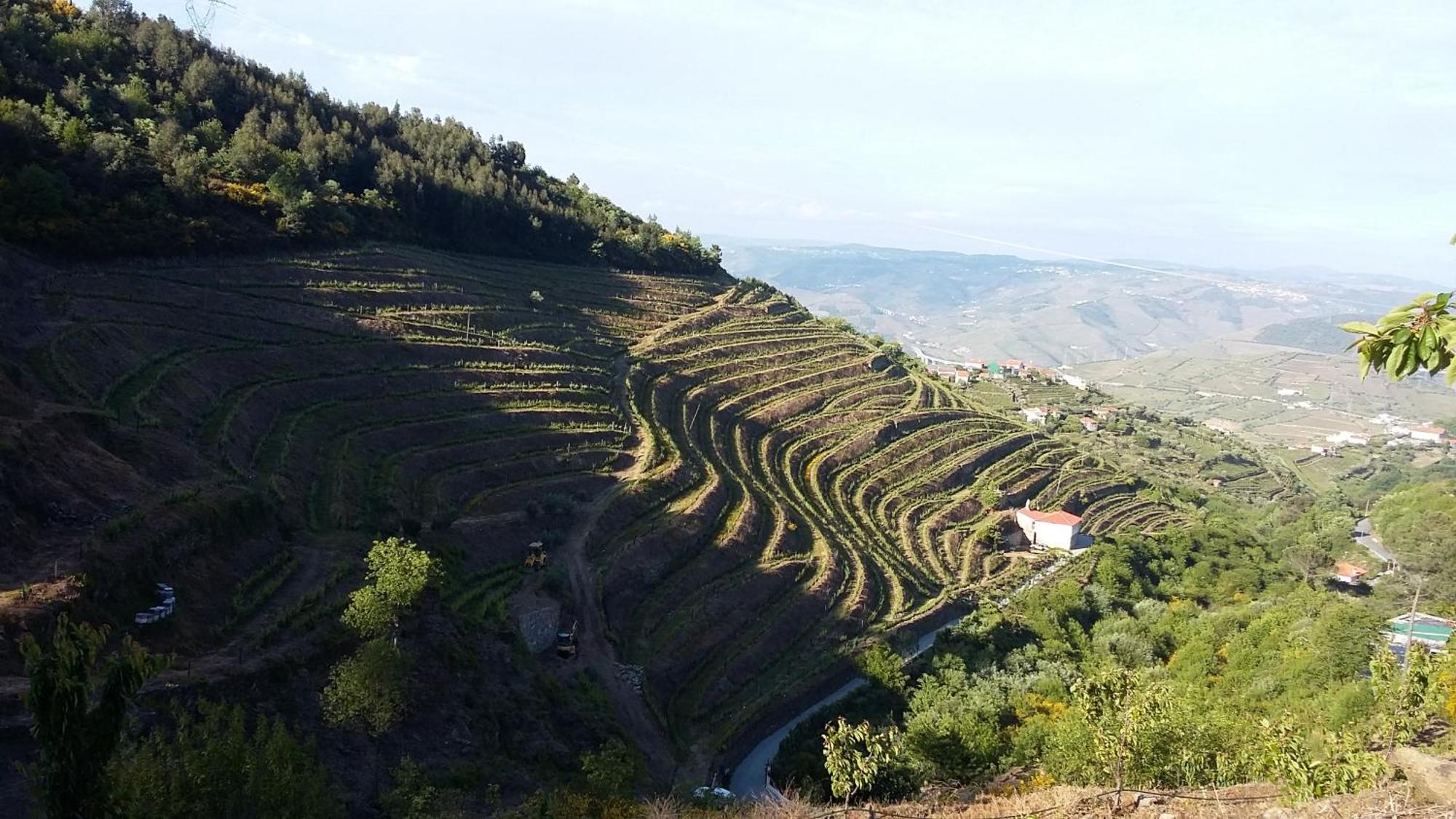 Holiday home Casa Da Quinta Do Porto Lamego