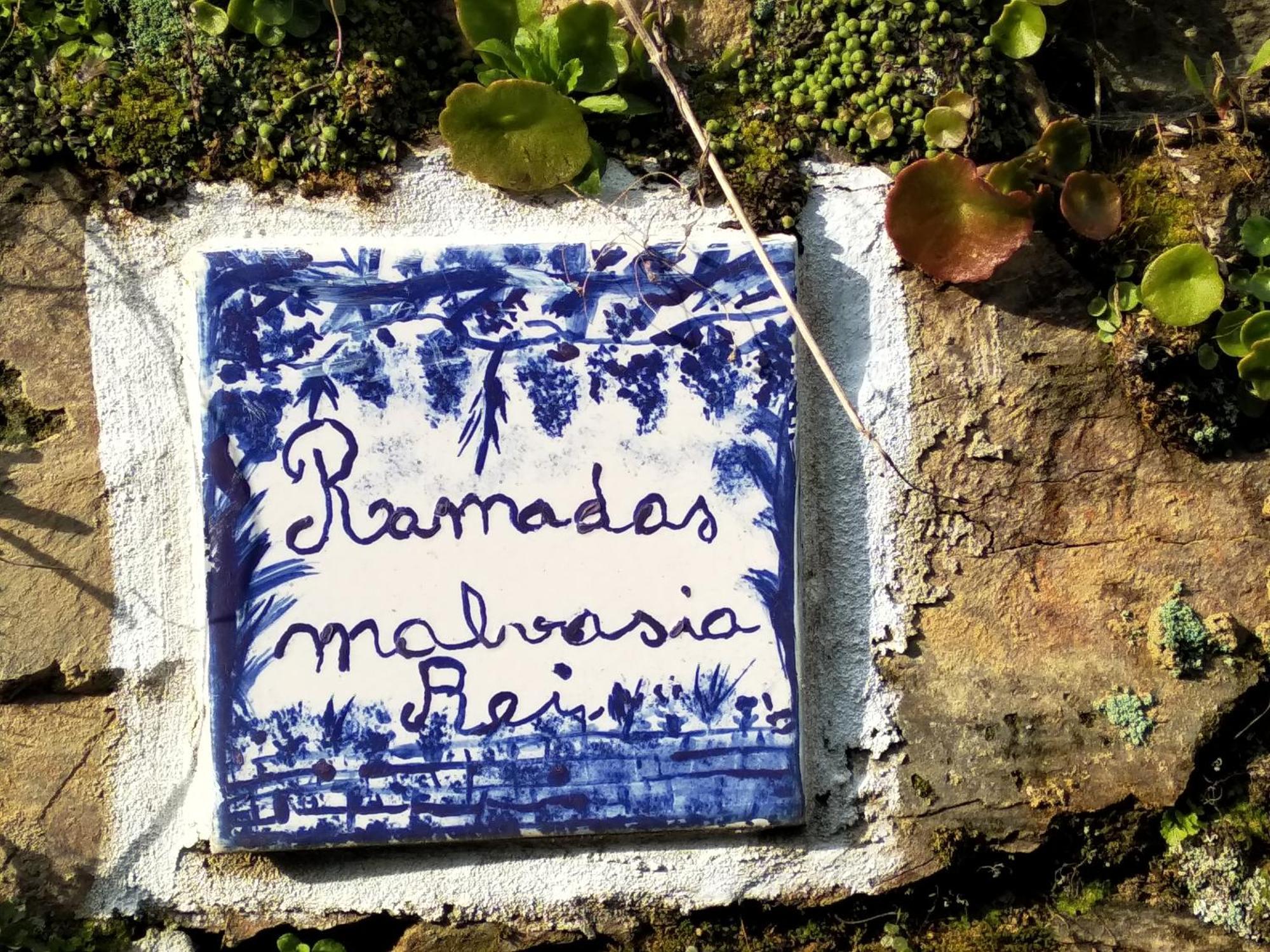 Casa Da Quinta Do Porto Holiday home *