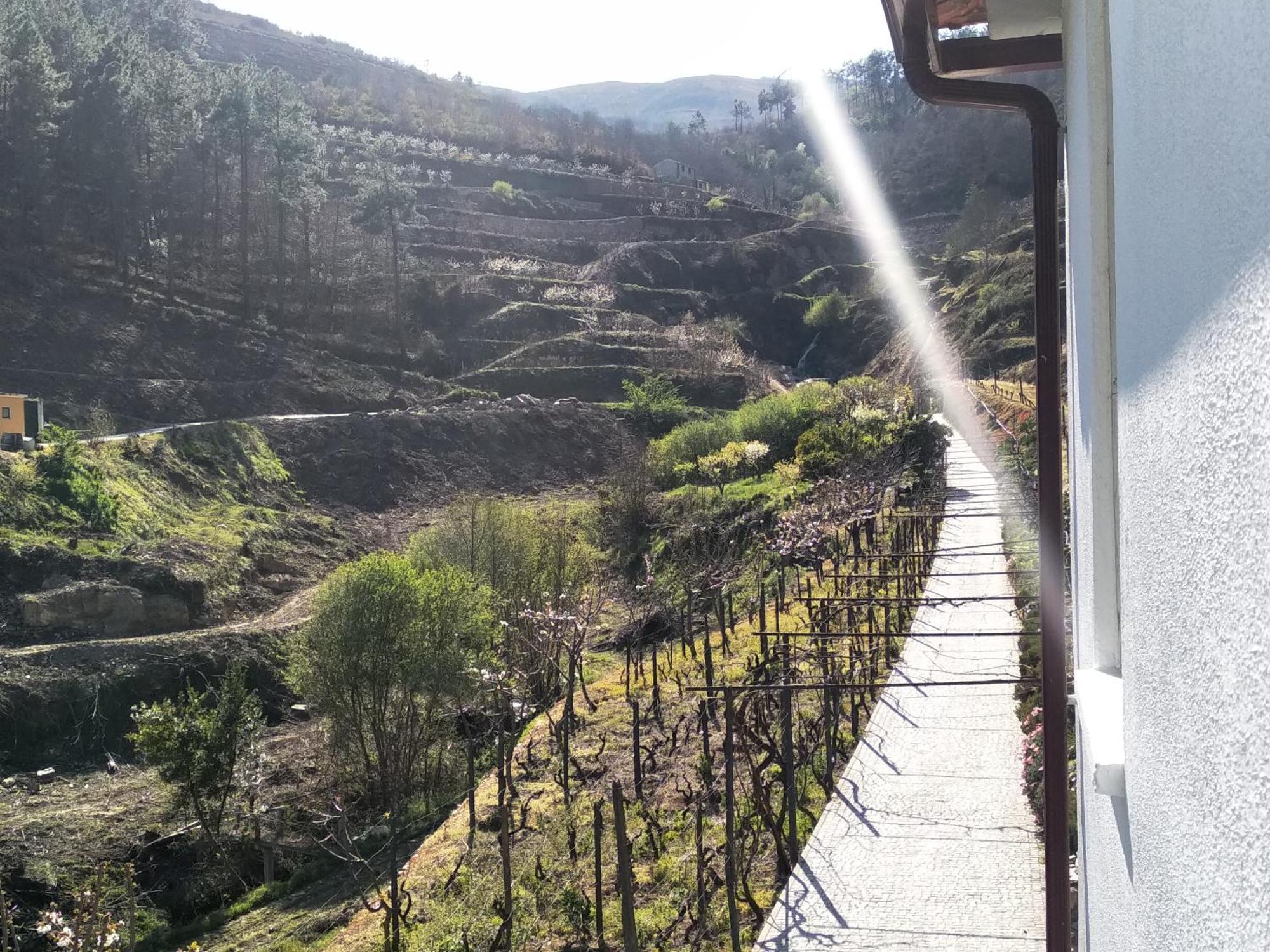 Casa Da Quinta Do Porto Lamego