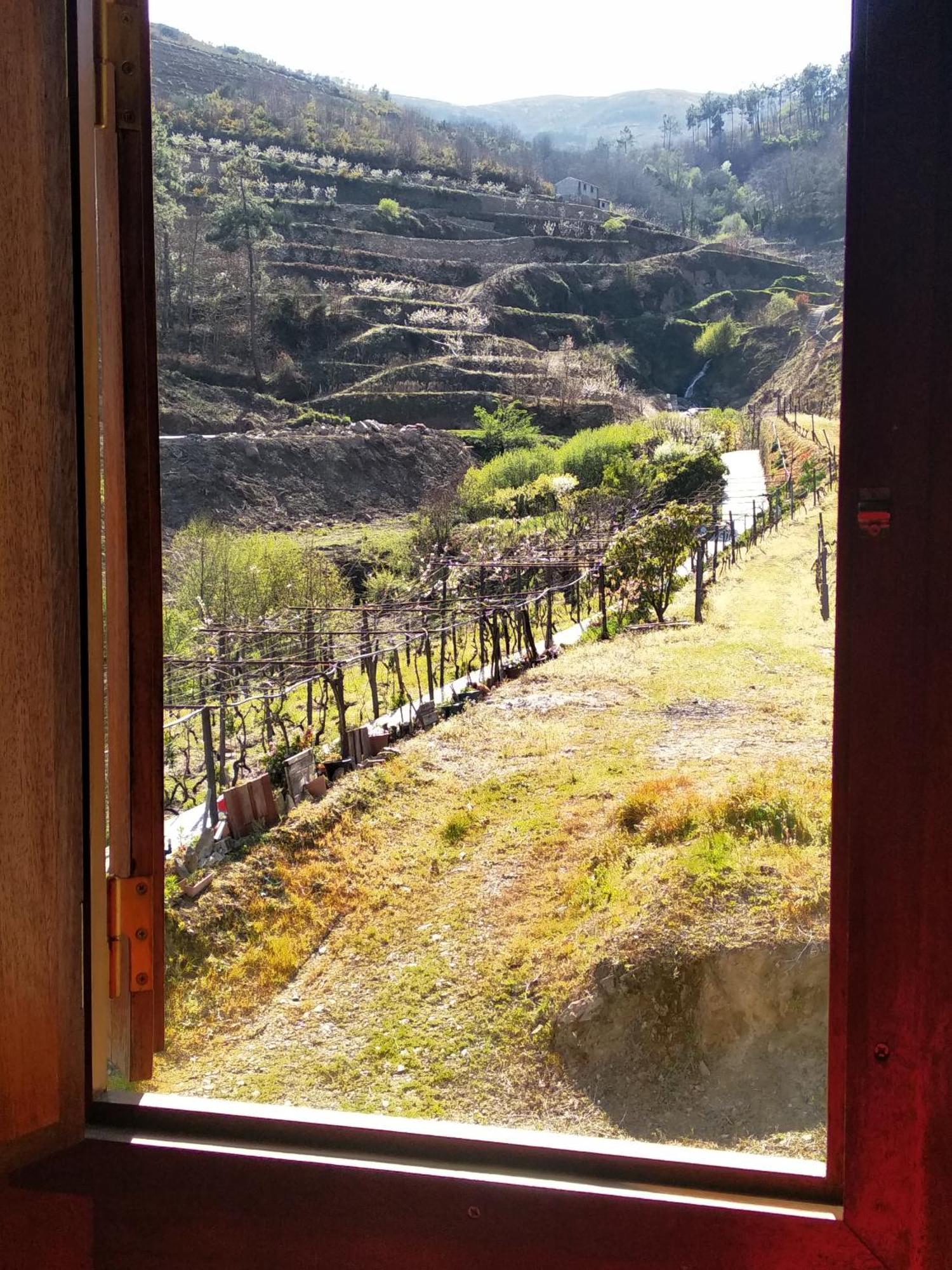 Casa Da Quinta Do Porto Holiday home Lamego