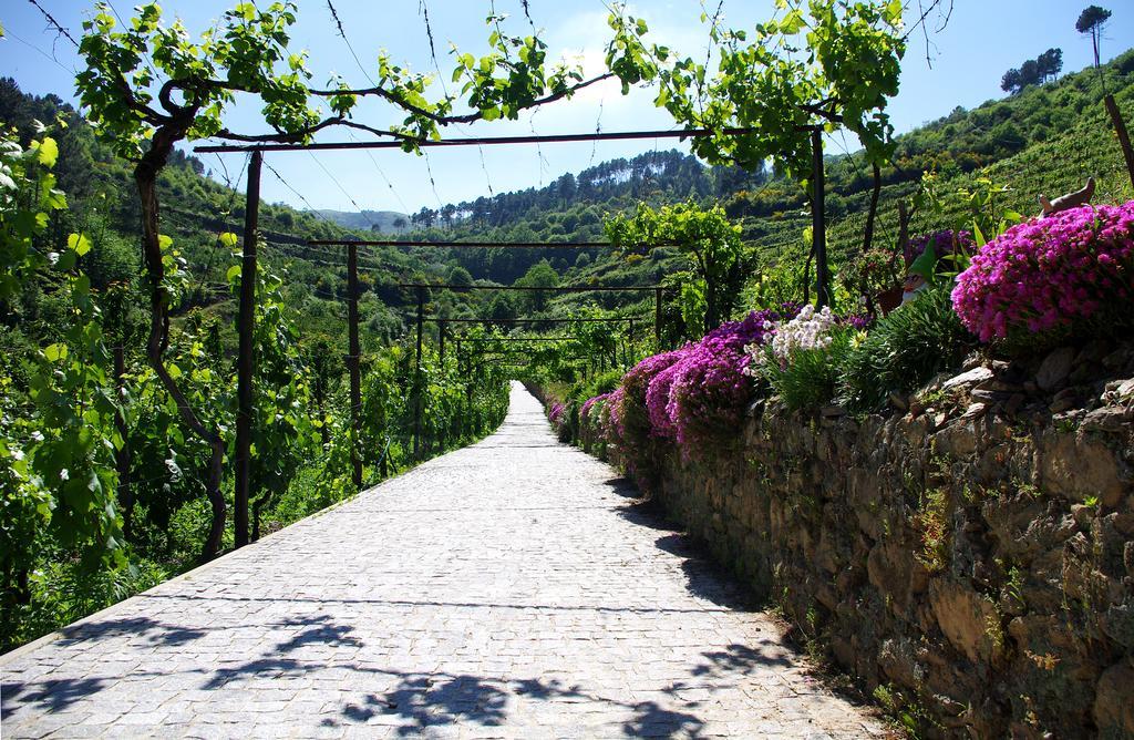 Holiday home Casa Da Quinta Do Porto *
