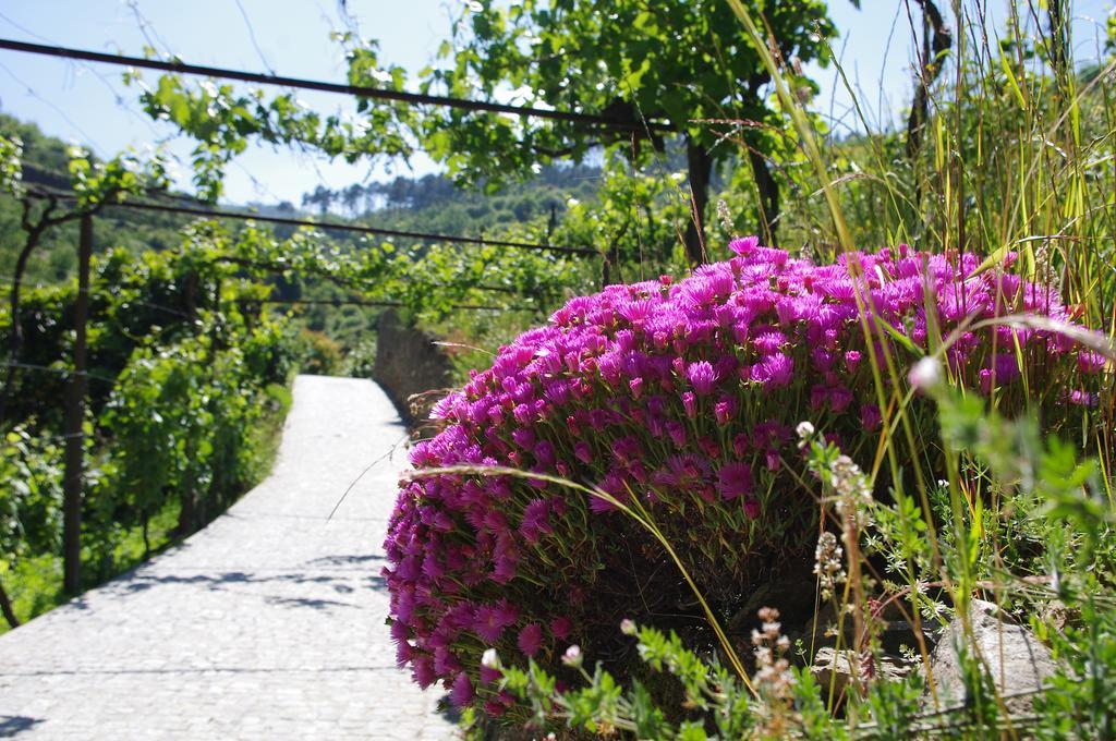 Casa Da Quinta Do Porto Holiday home *