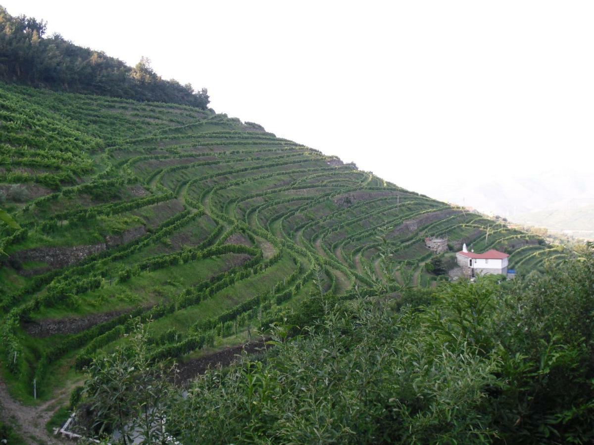 Casa Da Quinta Do Porto Holiday home